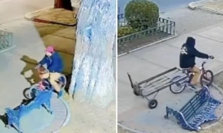 Captan en video a hombre llevándose banca de parque en Toluca
