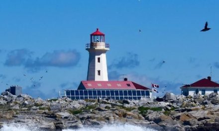 Machias Seal: La pequeña isla en disputa entre Canadá y EE.UU.