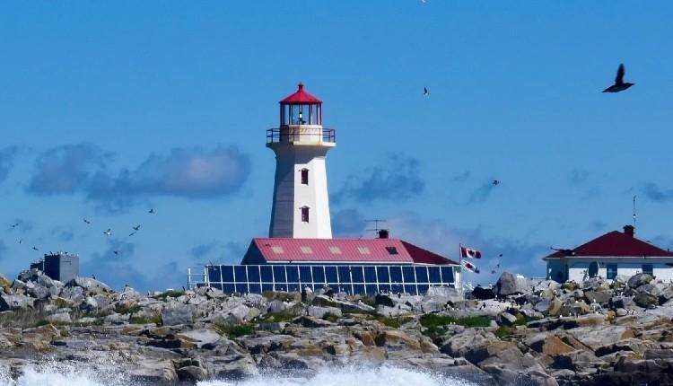 Machias Seal: La pequeña isla en disputa entre Canadá y EE.UU.
