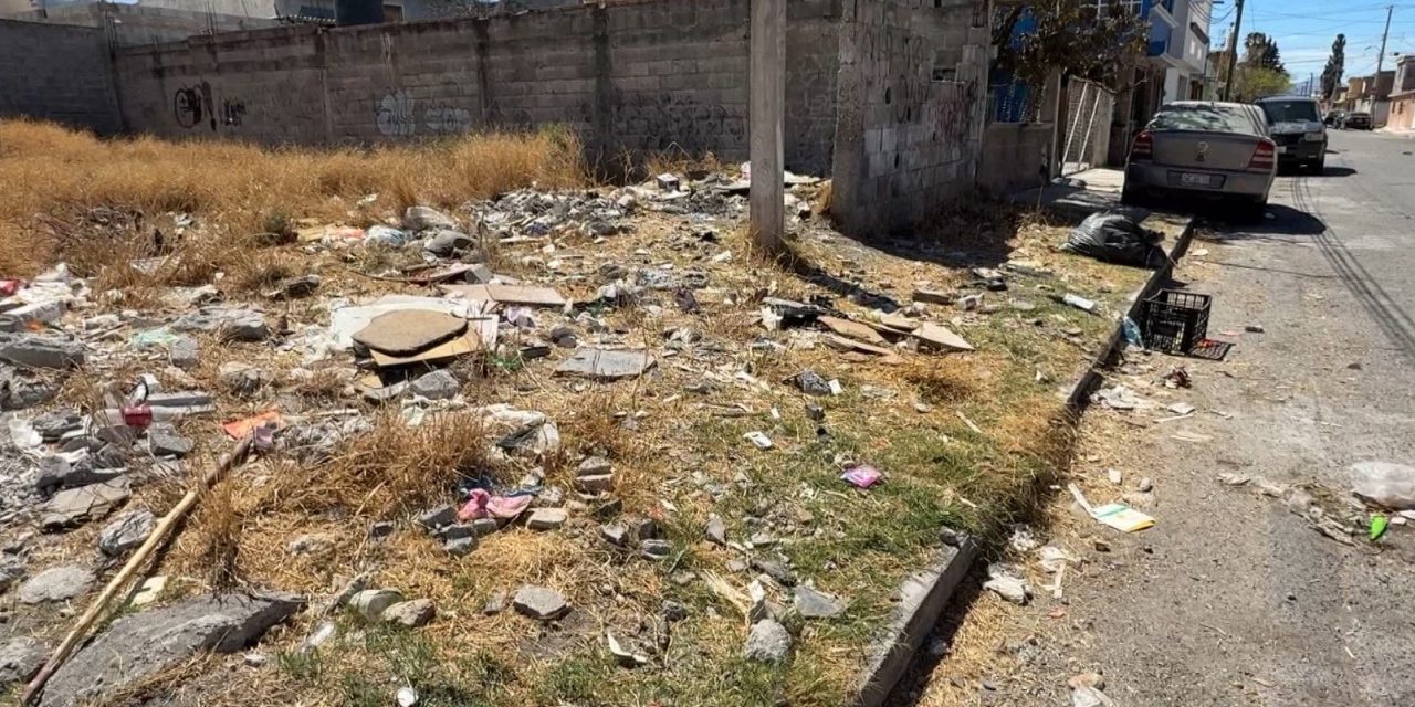 Piden vecinos limpieza de terreno baldío en Saltillo