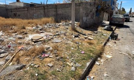 Piden vecinos limpieza de terreno baldío en Saltillo