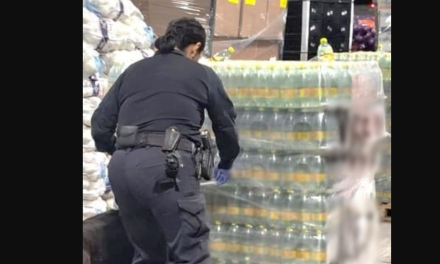 Aseguran una tonelada de metanfetamina en la frontera con EE.UU.