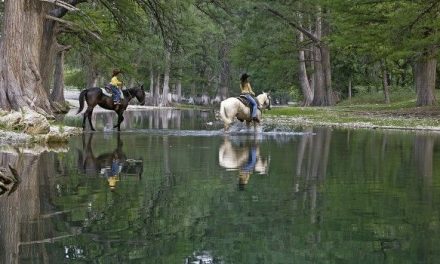 Visitantes disfrutarán de los espacios naturales de la Región Carbonífera