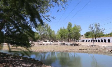 Refuerzan vigilancia en zonas naturales de la región Carbonífera
