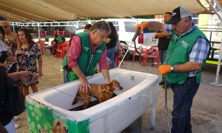 Acercan servicios gratuitos de salud para mascotas en Piedras Negras a través de Mejora