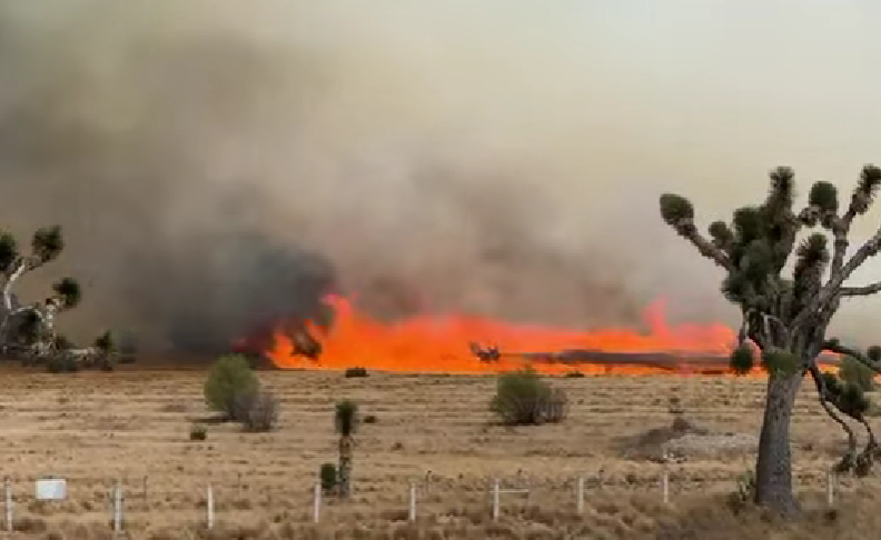 Fuerte incendio forestal afecta zona de Arteaga