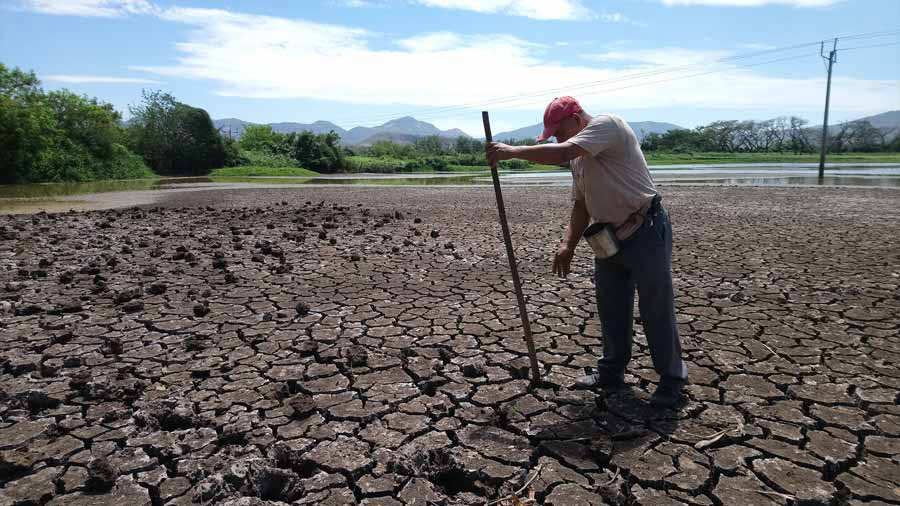 Sequía en la Laguna podría ser más compleja