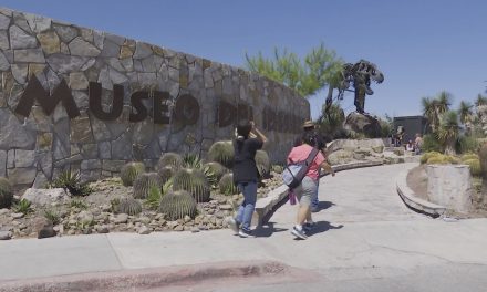 Más de 26 mil personas visitan el Museo del Desierto