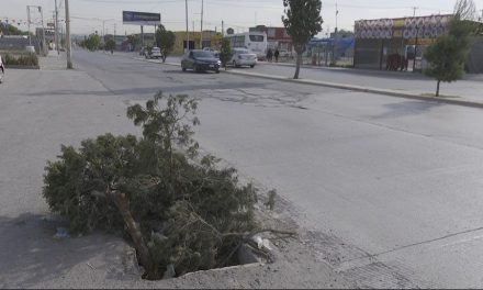 A como pueden tapan registro sin tapa en la colonia Analco