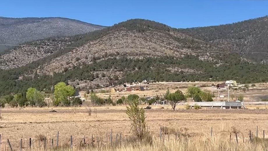 Recomienda municipio de Arteaga evitar uso de carbón en la Sierra