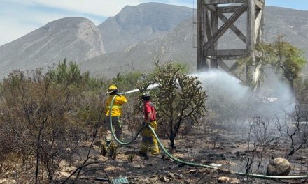 Atiende bomberos Ramos Arizpe incendio en predios baldíos