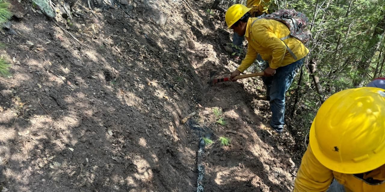 Avanza control de incendio forestal en Maderas del Carmen