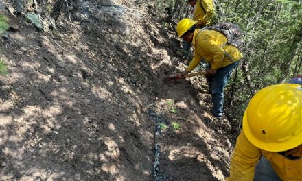 Avanza control de incendio forestal en Maderas del Carmen