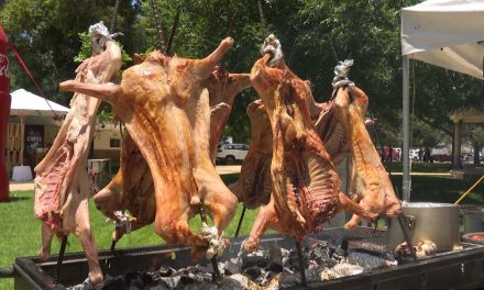 De mayo a junio el Festival del Cabrito