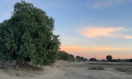 El área rural de los más afectados por la sequía