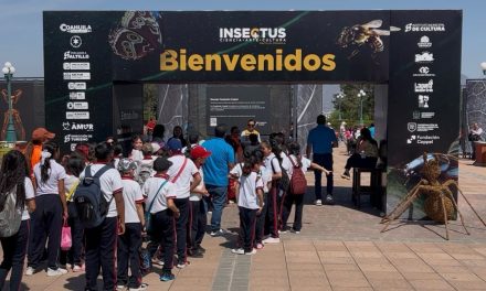 Insectus registra más de 20 mil visitantes