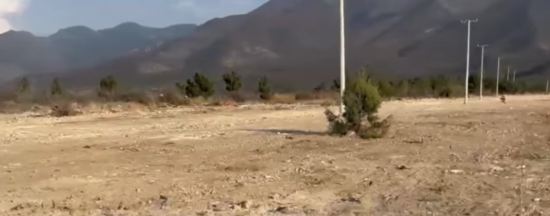 Rechaza propietaria ecocidio en terreno ubicado en la colonia Lomas Verdes