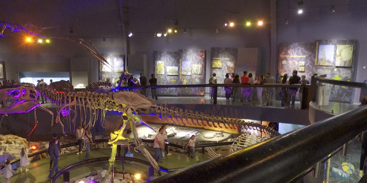 Más de 26 personas visitaron el Museo del Desierto