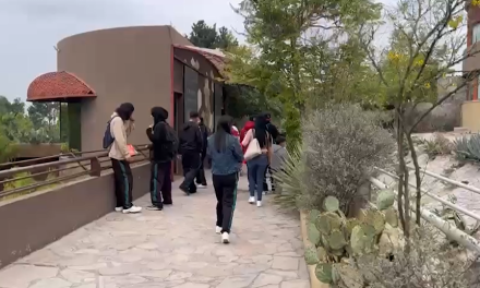 Museos, exposiciones y gastronomía, ofrece Coahuila en semana santa.