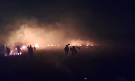 Incendio en San Antonio de las Alazanas  daña dos hectáreas
