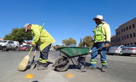 Ofrece limpieza y orden administración de Javier Díaz