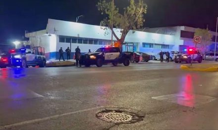 Dan buenos resultados los cateos en aseguramiento de droga y objetos robados