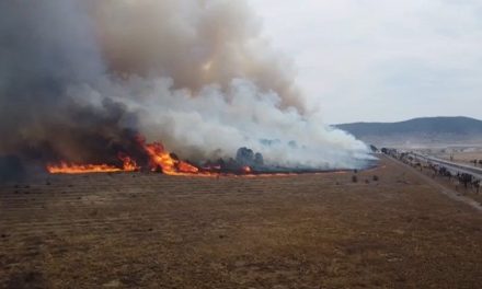 Va todo el peso de la ley contra incendiario en la sierra de Arteaga
