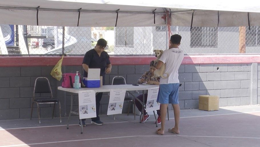 Realizan quinta jornada de vacunación y desparasitación de 3 mil animales de compañía