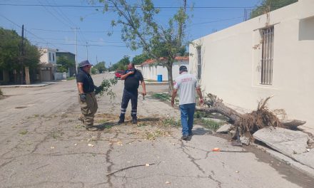 Atienden daños causados por tormenta en Sabinas