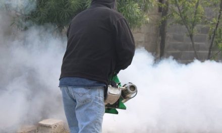 Refuerzan fumigación contra el dengue