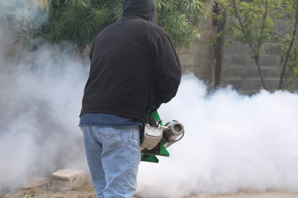 Refuerzan fumigación contra el dengue