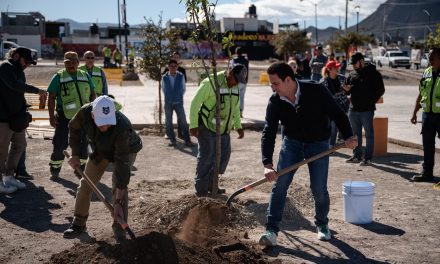 Reforesta Javier Díaz áreas verdes y plazas públicas