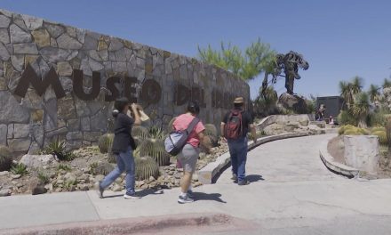 Tendrá Museo del Desierto una exposición de minerales este verano