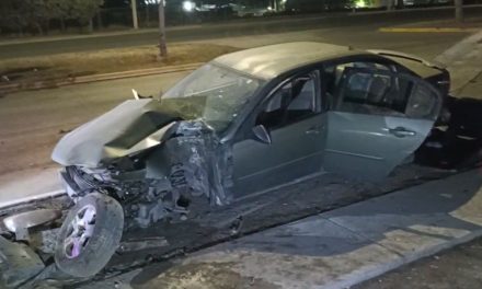 Árbol detuvo la marcha de un ebrio que terminó detenido en Saltillo