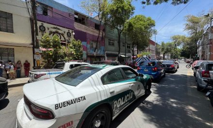 Hombre es atacado por sus propios pitbull en la CDMX tras peleas clandestinas