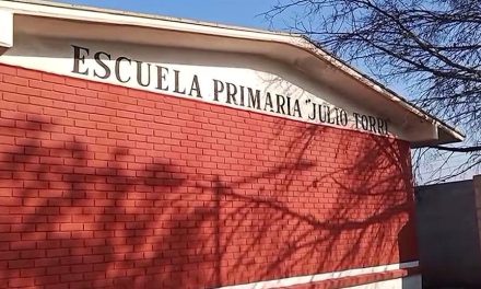 Saltillo: Confirman que si son garrapatas en el Jardín de Niños ‘Julio Torri’