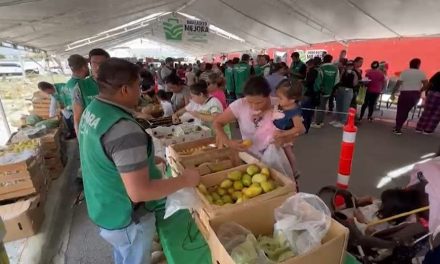 Desarrollan nuevo Mercadito Mejora ahora fue en la colonia Morelos