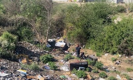 Saltillo: Desmantelan tejaban usado para delinquir