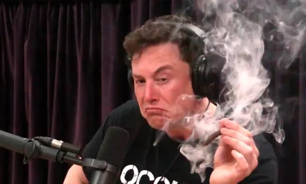 Elon Musk consumía éxtasis, ketamina y hongos durante campaña de Trump: NYT