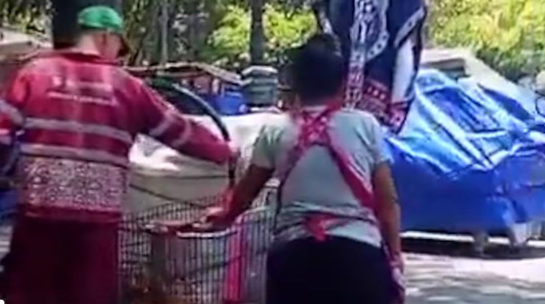 Video: Cachan a vendedora de elotes de la Alameda de la CDMX usando ‘agua puerca’