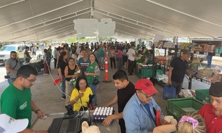Llega Mercadito Mejora a la Satélite Norte xon productos a bajo costo