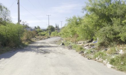 No limpian terrenos ni reparan calle en mal estado en colonia Guanajuato de Arriba en Ramos