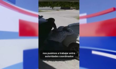 Obtienen cuatro órdenes de aprehensión por robo en la ciudad de Torreón