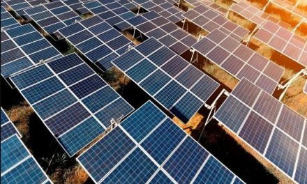Analiza ahora el programa Mejora ofertar celdas solares a bajo costo