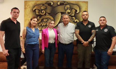 Proyecto de videovigilancia avanza en San Juan de Sabinas