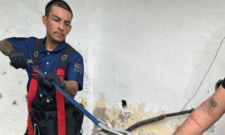 PC denuncia presencia de fauna nociva por altas temperaturas