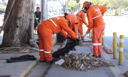 Mejoran el aspecto de la calzada Colón