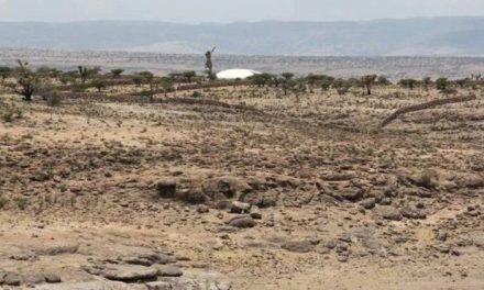 Sequía incrementa en la región Lagunera del estado