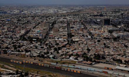 Esperan la conformación del Consejo de Medio Ambiente en Torreón