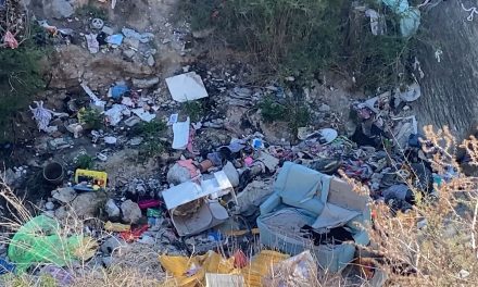 Detectan 90 terrenos baldíos con exceso de basura en Saltillo